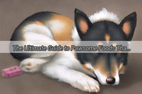 The Ultimate Guide to Pawsome Foods That Protect Your Dogs Vital Organs